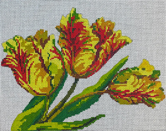 Parrot Tulips-Floral Colors of Praise