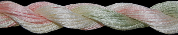 Cotton Floss 1095 Cactus Flowers Threadworx