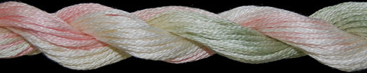 Cotton Floss 1095 Cactus Flowers Threadworx