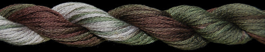 Cotton Floss 11171 Into the Woods Threadworx