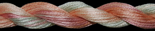 Cotton Floss 1142 Desert Flowers Threadworx