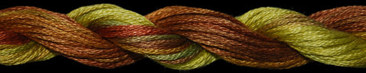 Cotton Floss 1163 Fall Threadworx