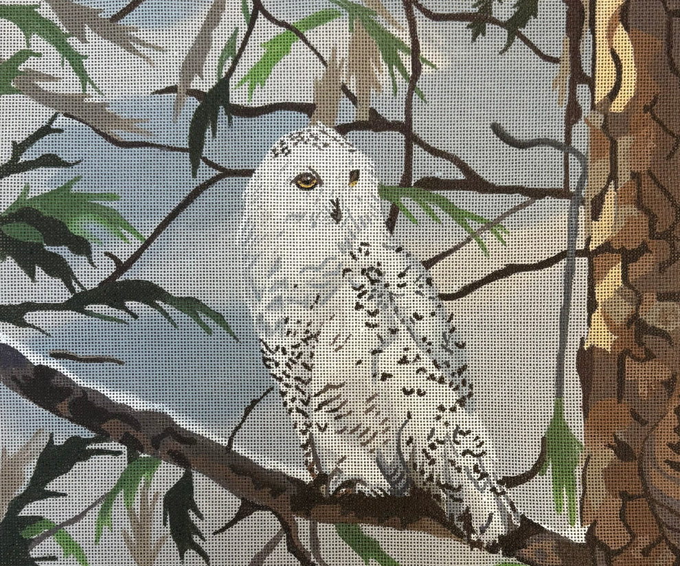 Snowy Owl Gia Marie