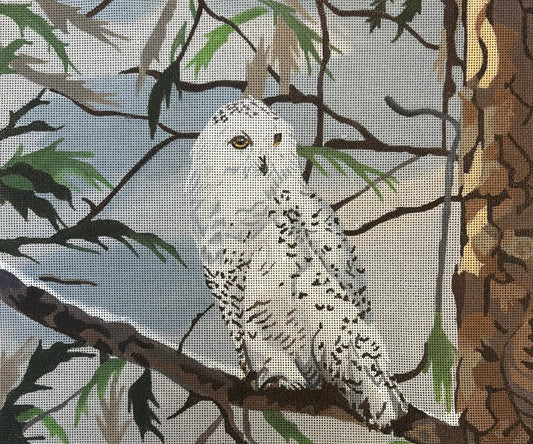 Snowy Owl Gia Marie