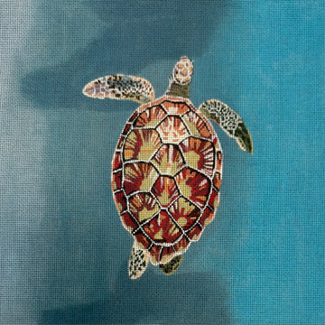 Turtle from Above Gia Marie