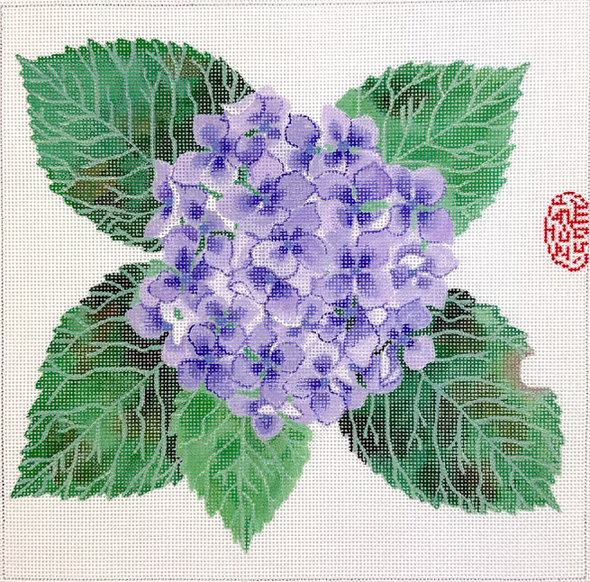 Hydrangea Blossom