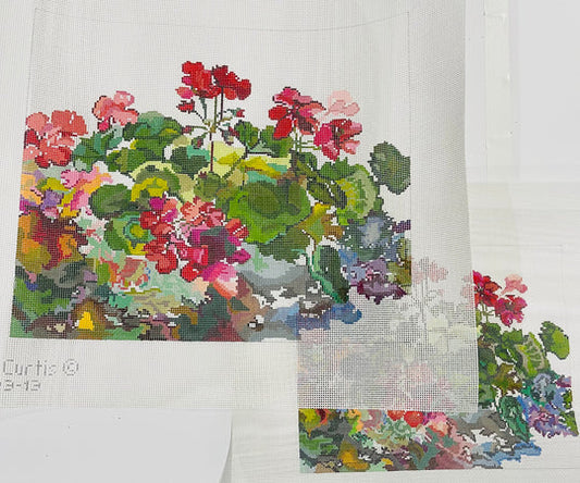 Geraniums Carol Curtis