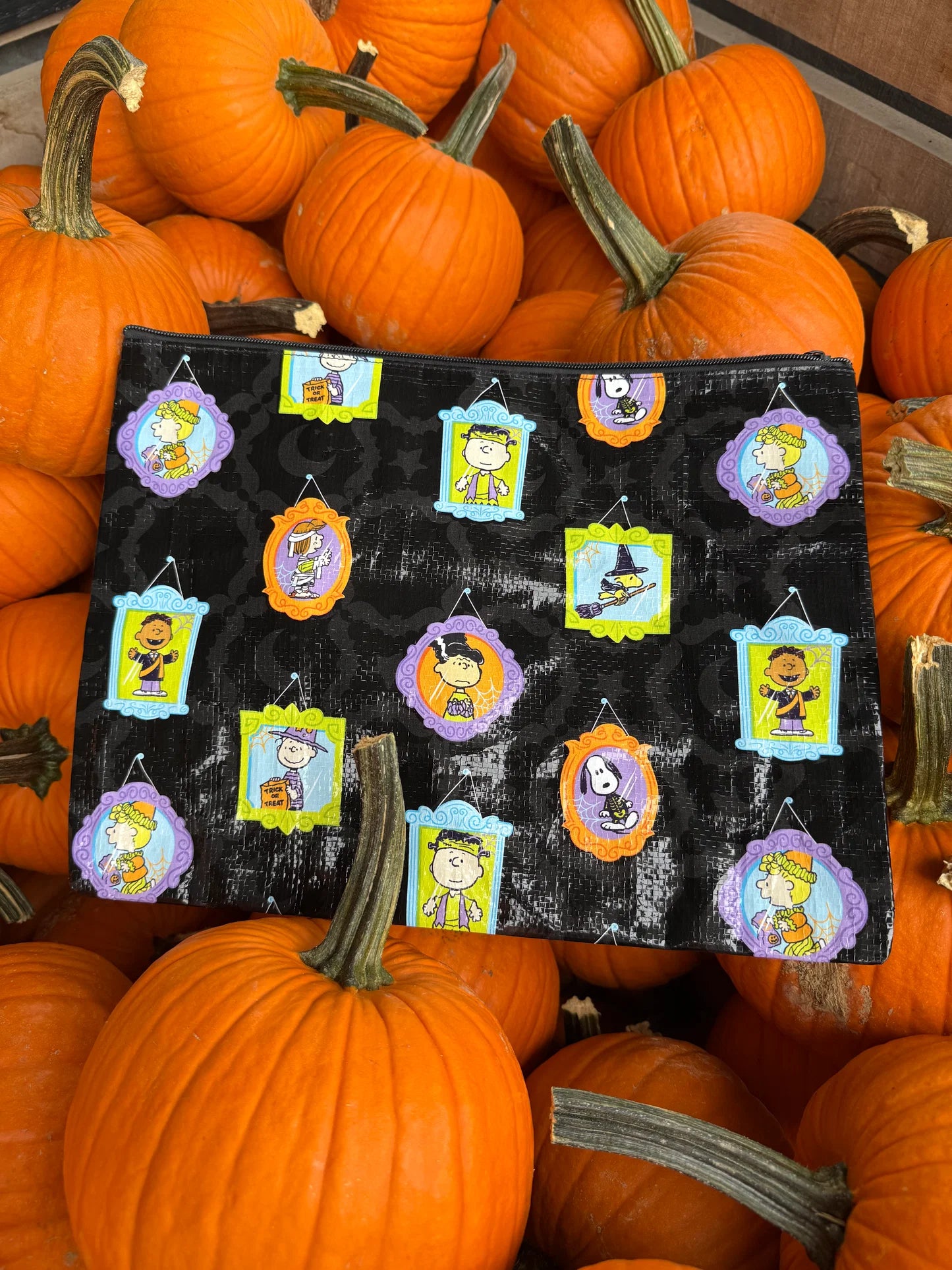 Peanuts Haunted Halloween Large Woven Project Bag