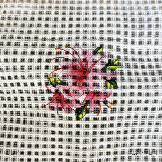 Floral Insert Colors of Praise
