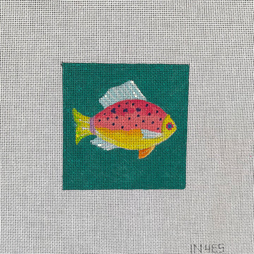 Fish Teal Background Colors of Praise
