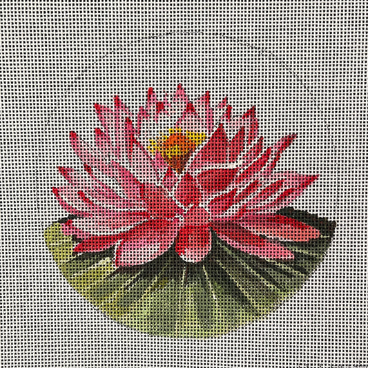 Lotus Flower Colors of Praise