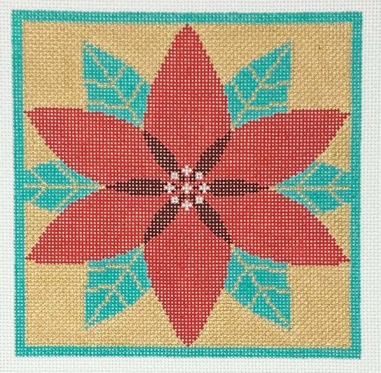 Red Poinsettia, 18m