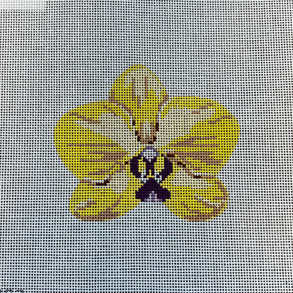 Single Yellow Orchid Kate Woodward