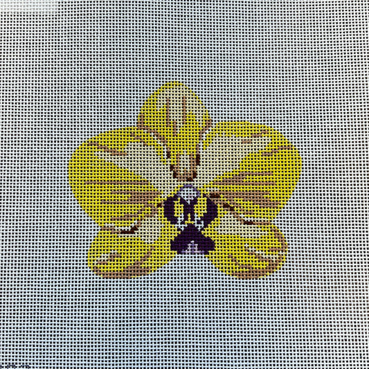 Single Yellow Orchid Kate Woodward