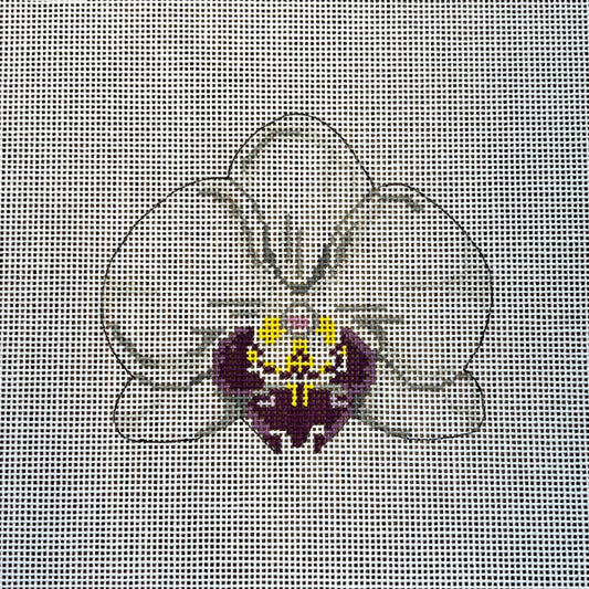 Single White Orchid Kate Woodward
