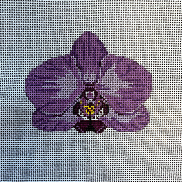 Single Purple Orchid Kate Woodward