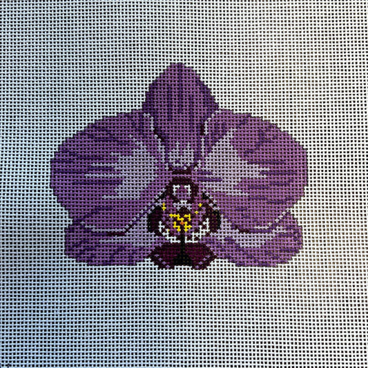 Single Purple Orchid Kate Woodward