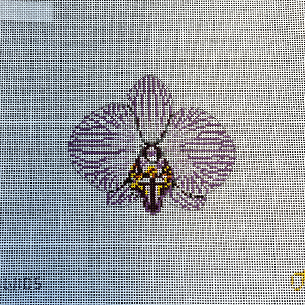 Single Striped Purple Orchid Kate Woodward