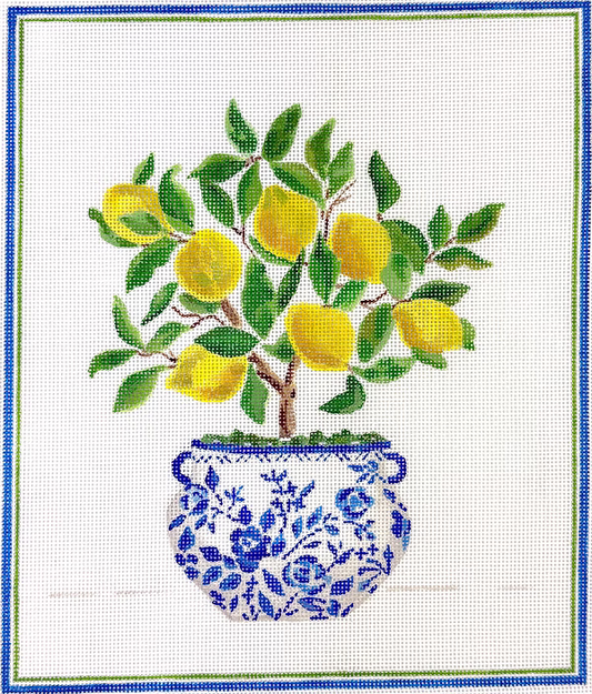 Lemon Topiary in Blue & White Pot Lindsay Brackeen