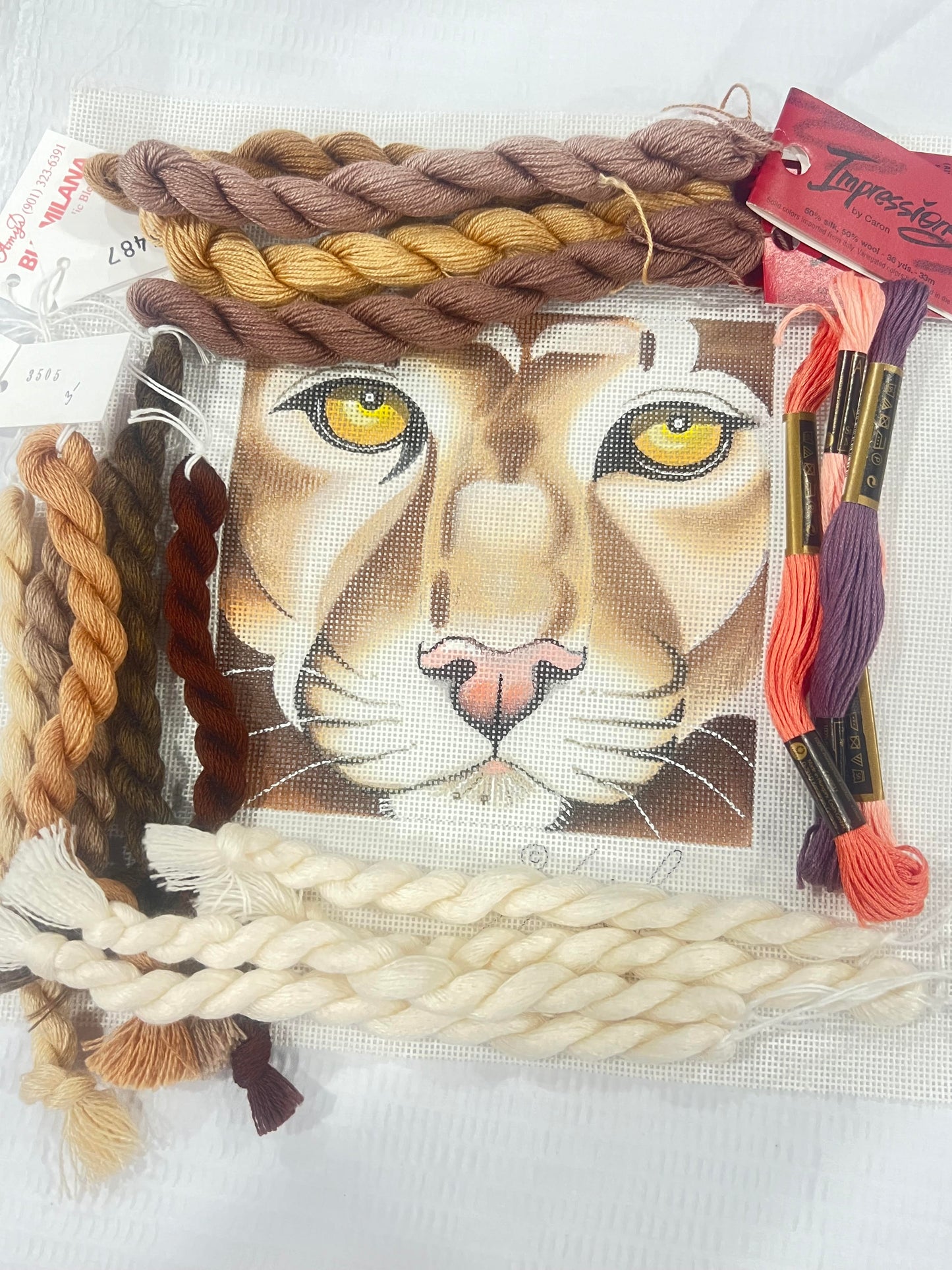 Lion Face Coaster by Leigh 3510