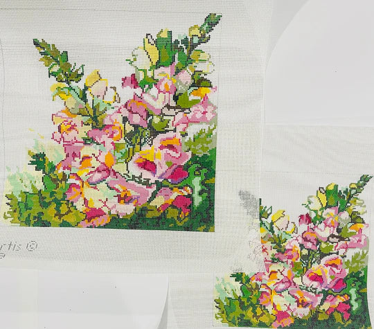 Snapdragons Carol Curtis