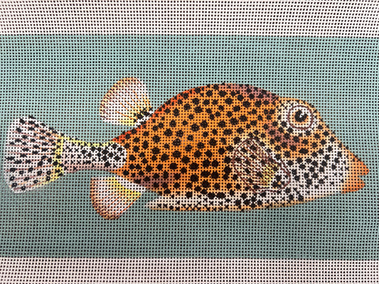 Spotted Fancy Fish Melissa Shirley