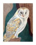 Barn Owl Claire Lloyd