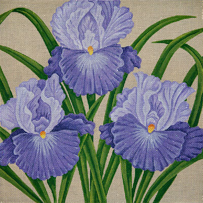 JP Needlepoint Jeff's Purple Irises