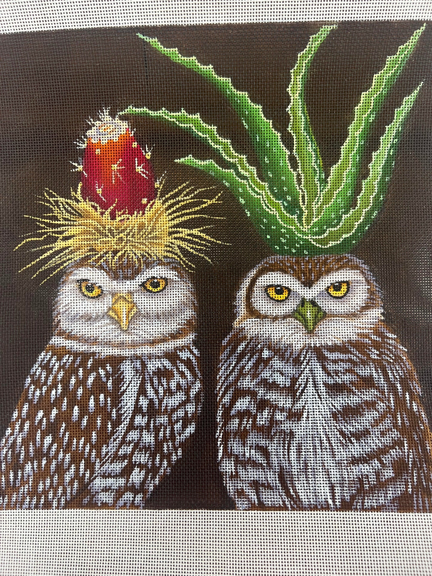 Aloe & Prickly Pear Owls Vicky Sawyer