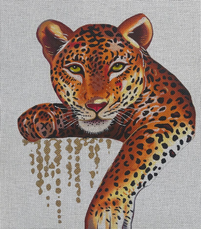 Leopard on White by Colors of Praise