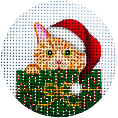 Orange Tabby in Package JP Needlepoint