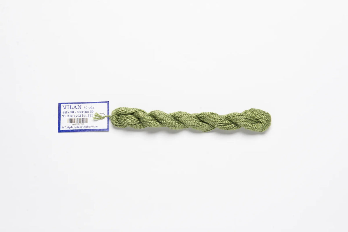 Milan Skein Turtle M1703