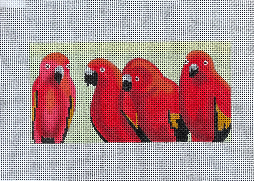 Red Parakeet Insert by Colors of Praise